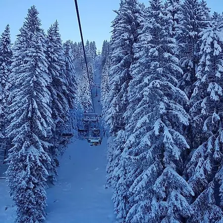 Апартаменты Sunwood Apartment-ferienwohnung Mit Herz Finkenstein am Faaker See