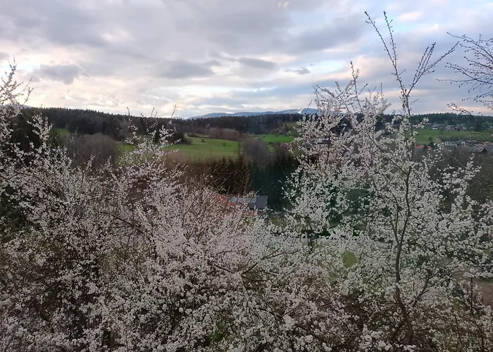 Sunwood Apartment-ferienwohnung Mit Herz דירה